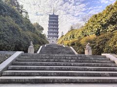 -宜兴龙背山森林公园