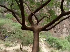 -丽江虎跳峡景区-售票处