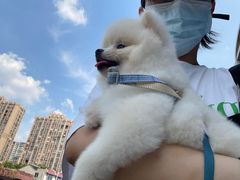 -宠颐生动物医院·小陆分院