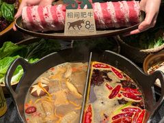 -大龙燚·旷野鲜火锅(广州首店)