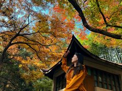 -莫干山风景区