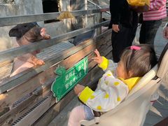 -北京鹿世界主题园