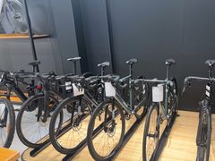 -ACEOFFIX折叠自行车(浦东专卖店)