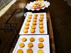 -济南国际园博园