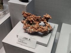 -湖南省地质博物馆