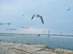 -星海广场