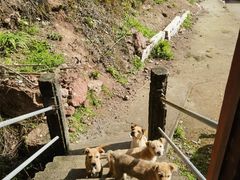 -天台山赤城山景区