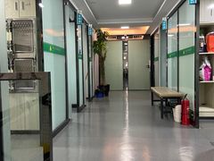 -半岛宠物医院24小时(科华中路店)
