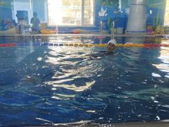 -小泳士游泳训练基地(芥园西道店)