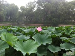 IMG_0101-钓鱼台国宾馆