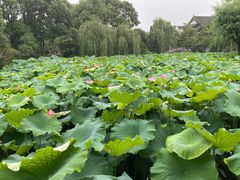 -丝绸小镇荻港古村