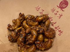 -鸽子窝(黄村店)