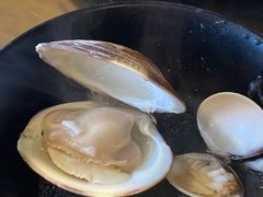 -水哥卜卜贝(东晓·胜汇里店)