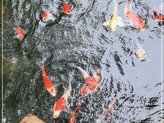 -云溪植物园