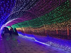 -西安曲江寒窑遗址公园