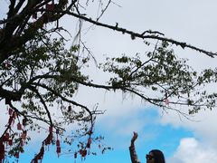 -硗碛藏寨·神木垒景区