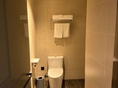 -汉庭(合肥火车南站北广场店)