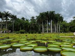-中国科学院西双版纳热带植物园