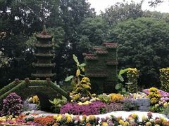 -汇龙潭