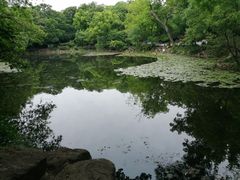 -灵谷景区