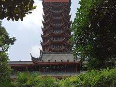 -塔子山公园
