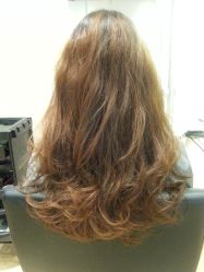 -BENSON沙龙