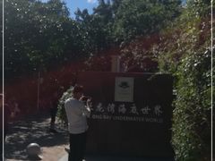 -亚龙湾海底世界