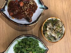中华海草-一本钓鲔鱼屋