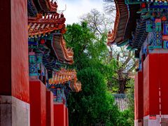 -北京国子监胡同