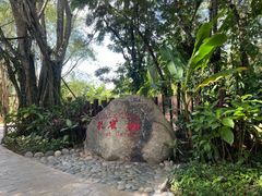 -西双版纳傣族园
