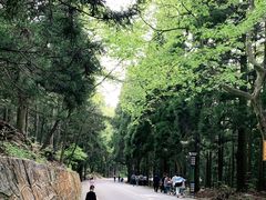 -庐山风景名胜区