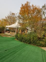 -萌宠亲子动物乐园(槐房万达店)