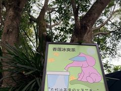-野象谷景区
