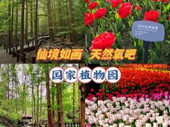 -国家植物园