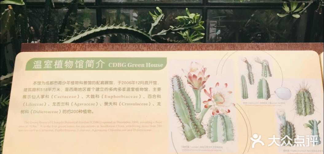 攻略:带你打卡成都植物园。