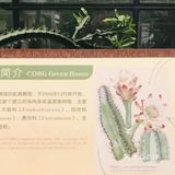 攻略:带你打卡成都植物园。