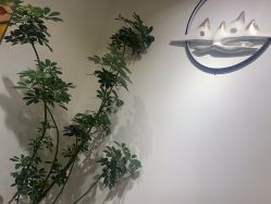 -芙罗拉·Flower Nail美甲美睫