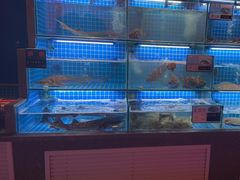 -鸽子侯·家宴·平价海鲜(市图书馆店)