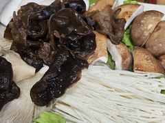 -芦月轩羊蝎子(北蜂窝店)