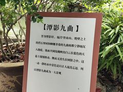 -绮园景区