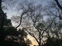 -恭王府博物馆