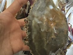 -王四营海鲜市场