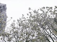 -璐坊粽王(复兴中路店)