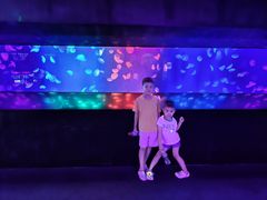 -成都浩海立方海洋公园