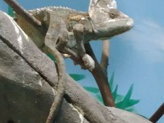 -石家庄市动物园