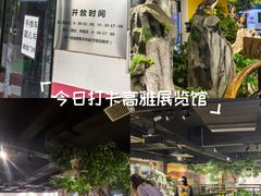 -中山市树木园