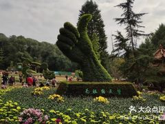 -富乐山