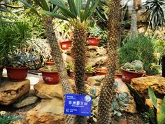 -国家植物园南园