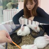杭州探店｜打卡宝藏撸宠乐园！