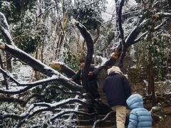 -紫金山山顶公园